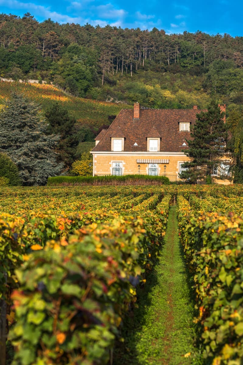 Domaine viticole en Bourgogne